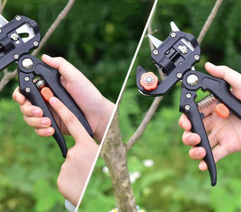 Skanto | Manuelle Tre Grafting Saks