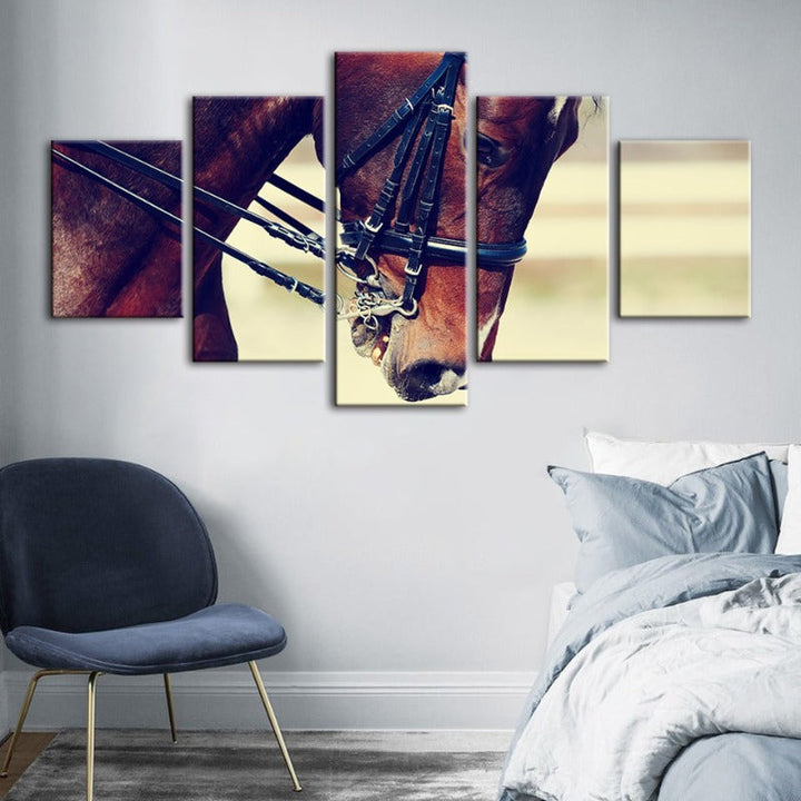 5 Piece Graceful Halter Horse - Canvas Wall Art Painting | Skanto