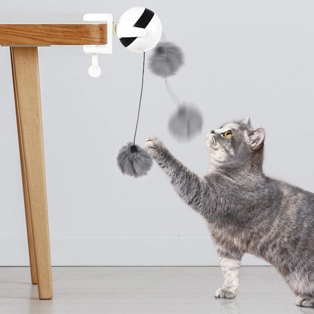 Lifting Ball Elektrisk Bevegelse Katt Leketøy Skanto