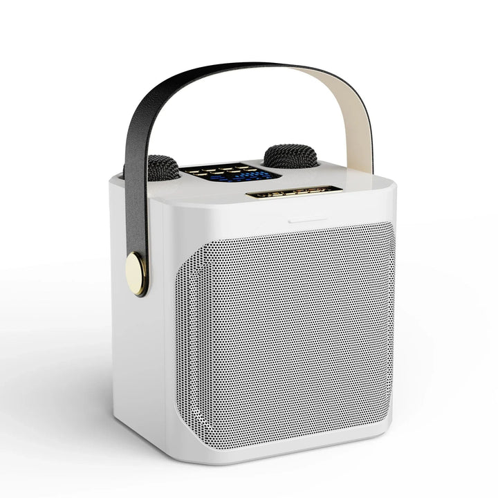 Skanto | Karaoke Bluetooth-høyttaler – 360° Surround Trådløs Subwoofer med Dual Mics