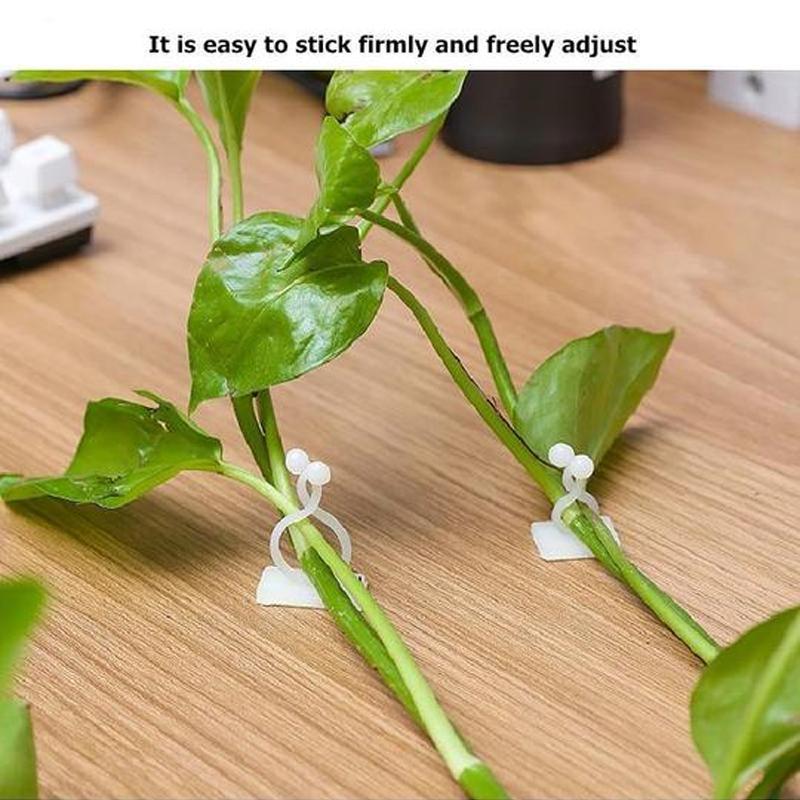 Veggstifter for klatreplanter (30 stykker) | Skanto