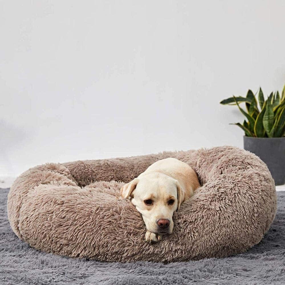 Skanto | Beroligende Hundeseng