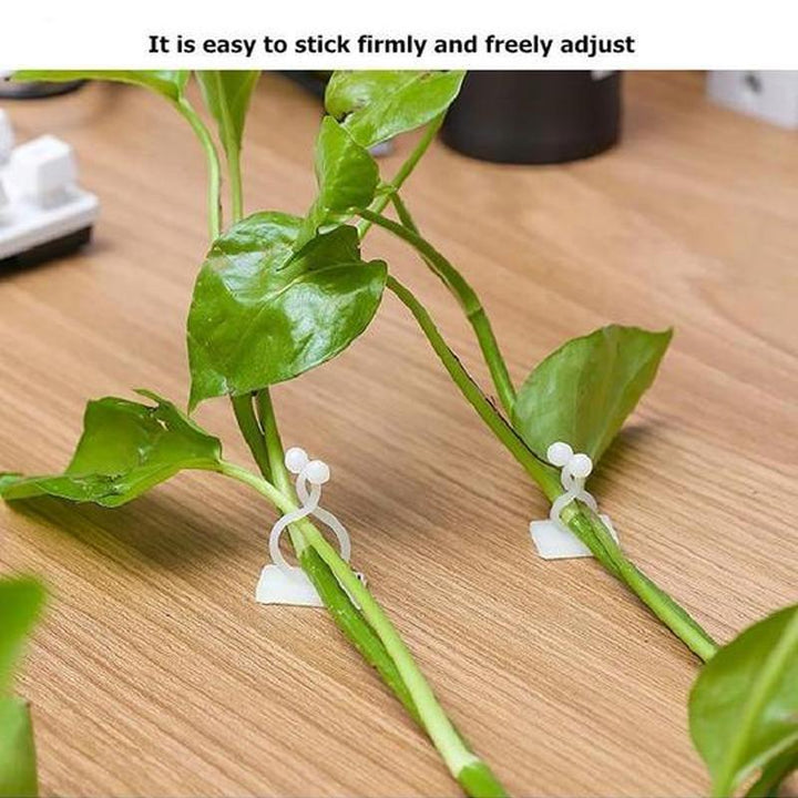 Veggholder for klatreplanter (30 deler) | Skanto