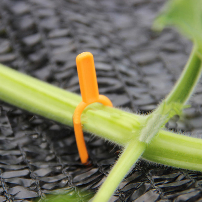 Skanto | Hageplanter støtteklips laget av plast for optimal plante-stabilitet