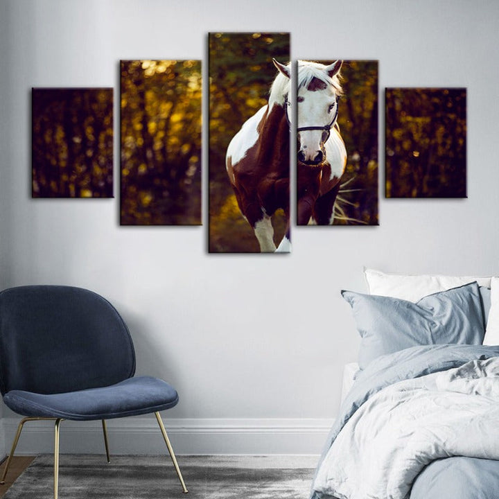5-delt Courtly Overo hest - lerret veggkunst maleri | Skanto