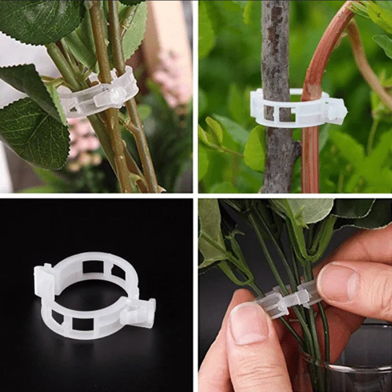Skanto | Plante støtteklips
