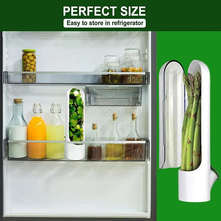Skanto | Herb Fresh Holder