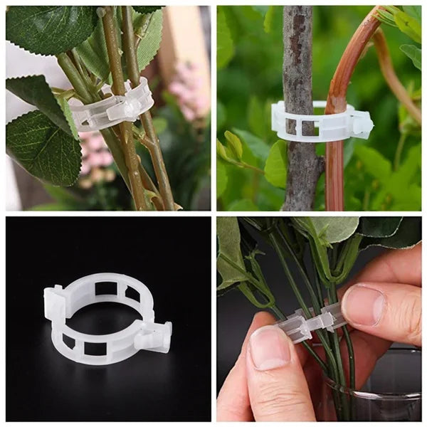 GripKing Clips — Hold plantene sterke og oppdag enkelt, sunn vekst! | Skanto