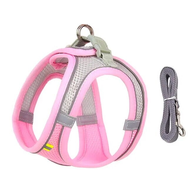 Skanto Venture Skål & Bånd