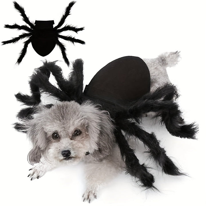 Skanto | Morsomt Pelshund Halloween Kostyme | Edderkopp Design