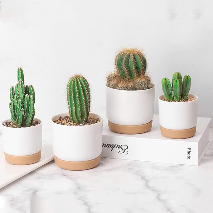 Skanto | Selvvannende blomsterpotte for orkideer og planter – Plast plantecontainer