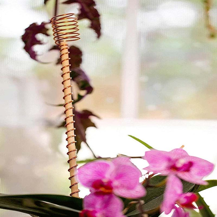 Kobber plantepinner 30 cm | Skanto