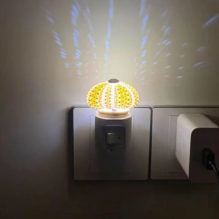 Skanto | LumiCraft – Unik DIY bordlampe med naturlig sjøskjell for en koselig dekor
