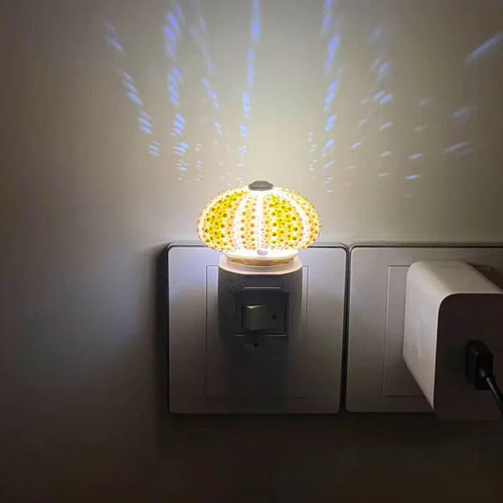 Skanto | LumiCraft – Unik DIY bordlampe med naturlig sjøskjell for en koselig dekor