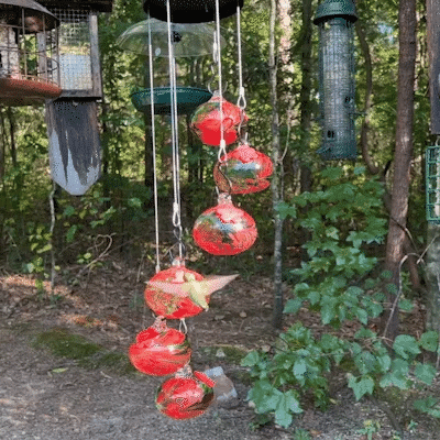 Skanto | Nye sjarmerende vindklokker kolibri mater hagedekor