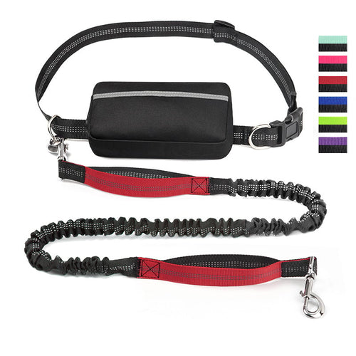 FlowLeash — Opplev myk kontroll og avslappede turer uten rykk! | Skanto