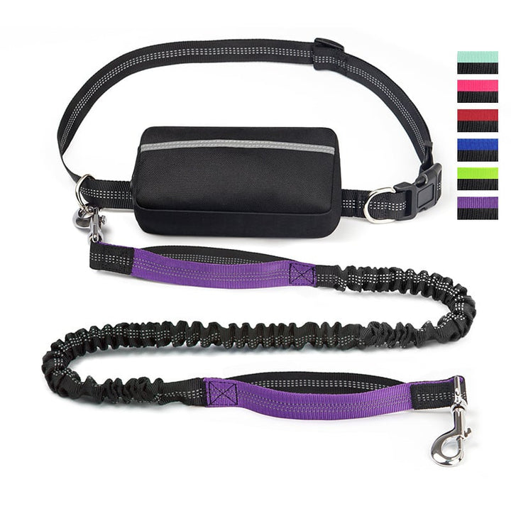 FlowLeash — Opplev myk kontroll og avslappede turer uten rykk! | Skanto