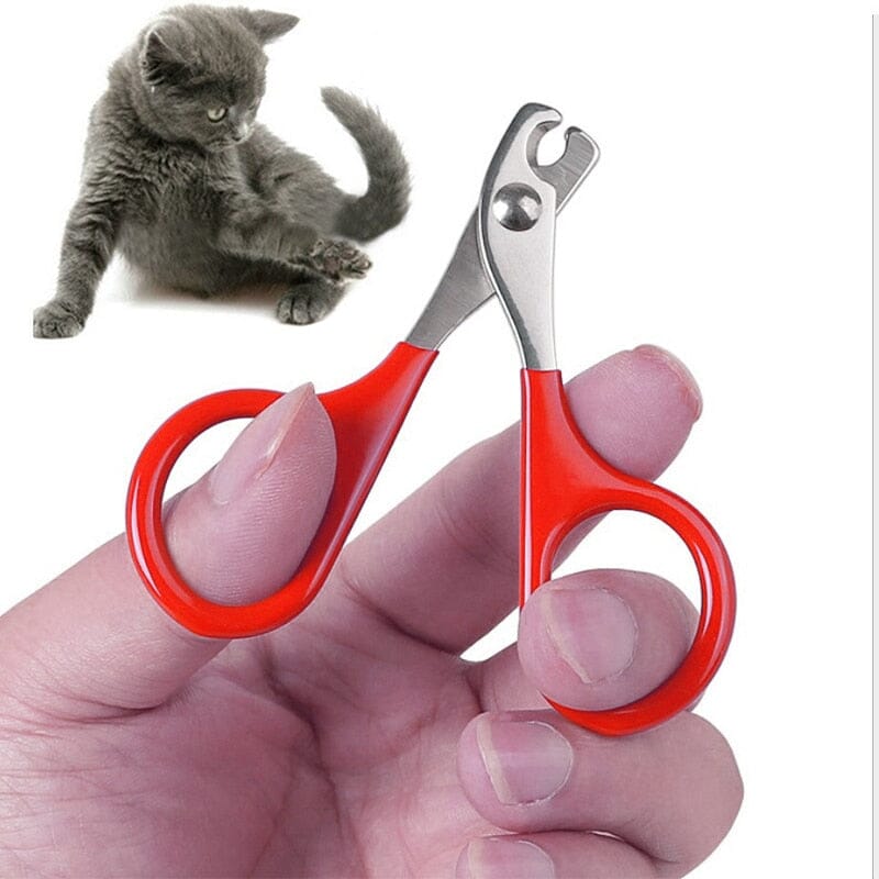 Skanto-Nail Clipper