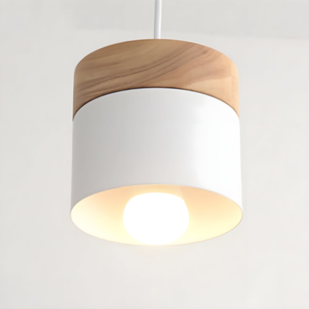 Loft Style Macaron Pendellampe | Skanto