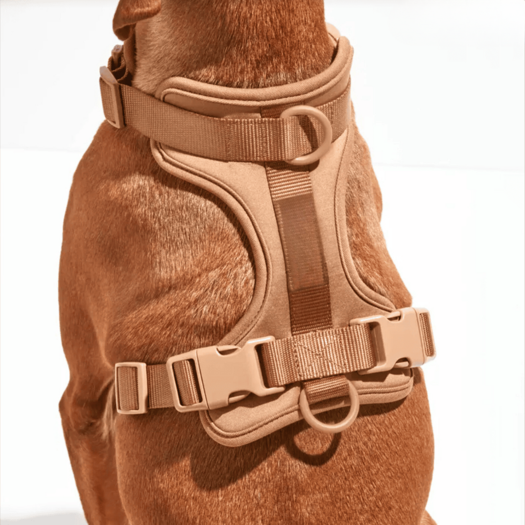 Skanto | ComfyPaws Hundesele Gåsett med Bånd og Bæsjeposeholder