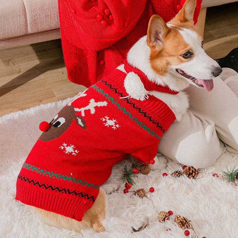 Varm julekleding for kjæledyr | Skanto