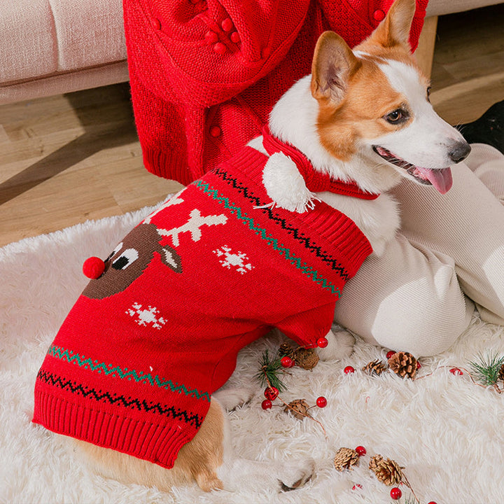 Varm julekleding for kjæledyr | Skanto