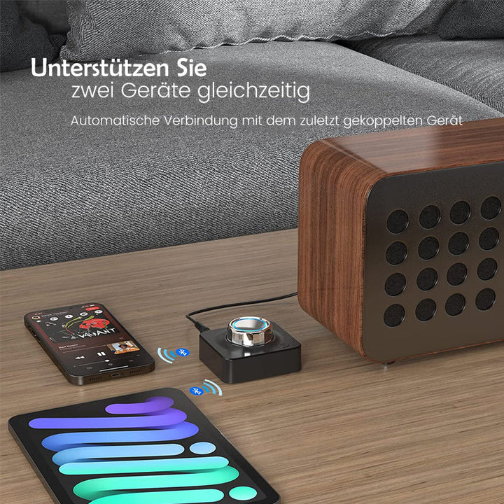 Bluetooth audio receiver | Skanto