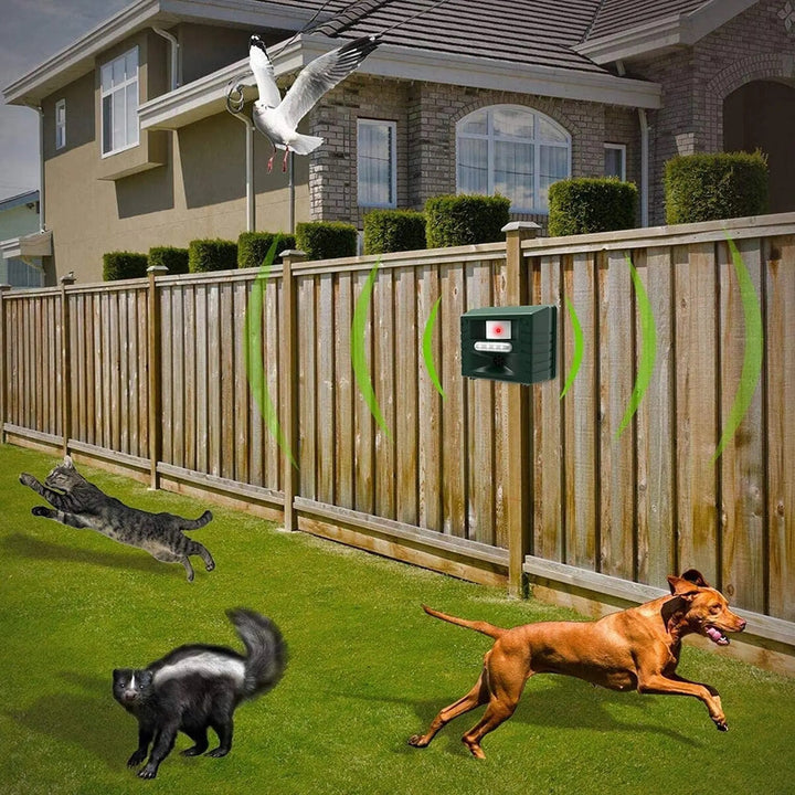 Skanto | Ultrasonic Woodpecker Repeller – Effektiv og human fugledeterrent for hager og hjem