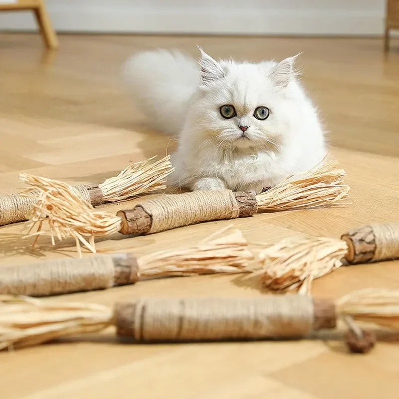 Katte tannrensende pinner Skanto