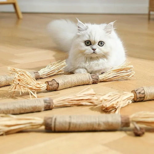 Katte tannrensende pinner Skanto