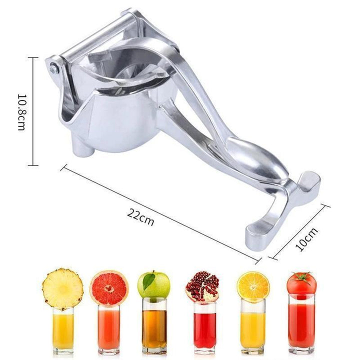 Skanto | Rustfritt Stål Fruktjuicepresse