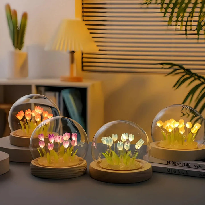 Skanto | TulipBloom Fortryllelse