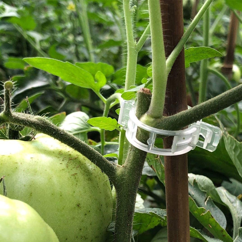 Plastikkinn for å holde planter | Skanto