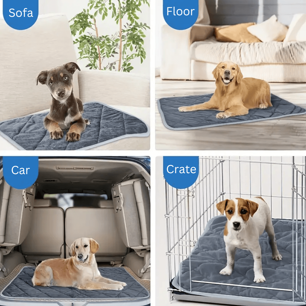 ToastyPaws Selvoppvarmende Pute for Hund