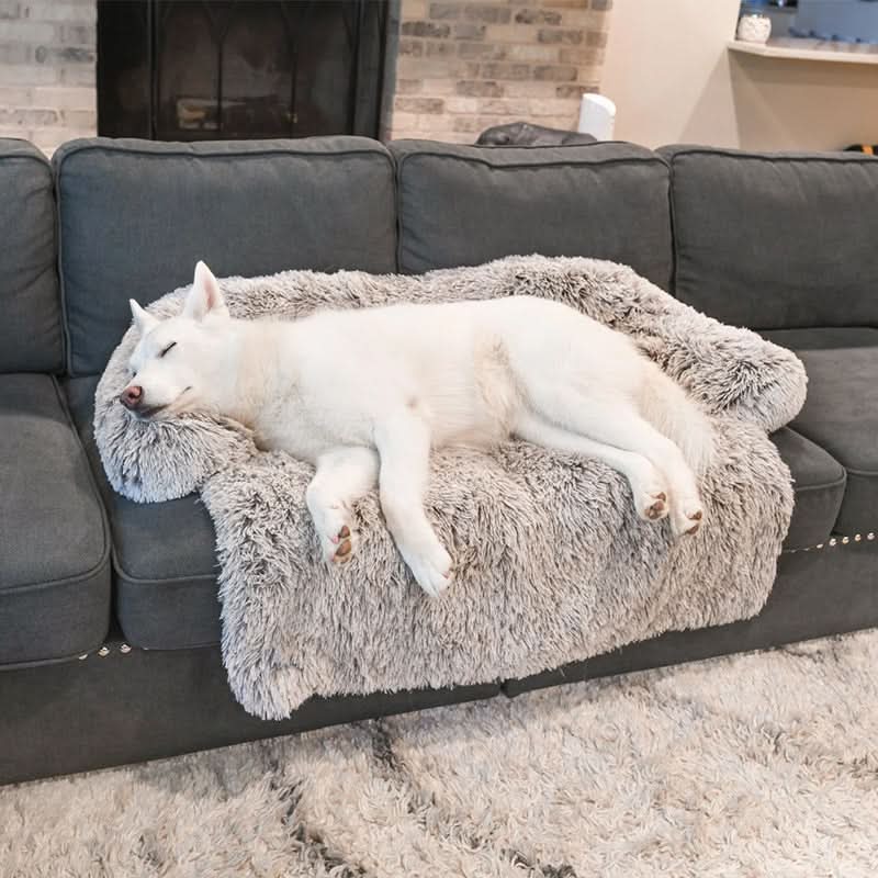 Skanto | PLUSHGUARD