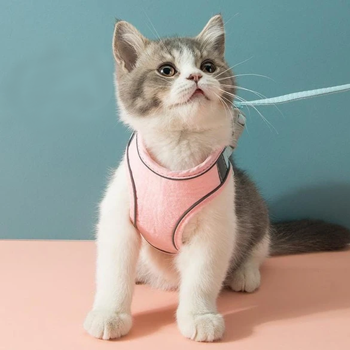 Skanto | Katt Vest Sel og Bånd Sett