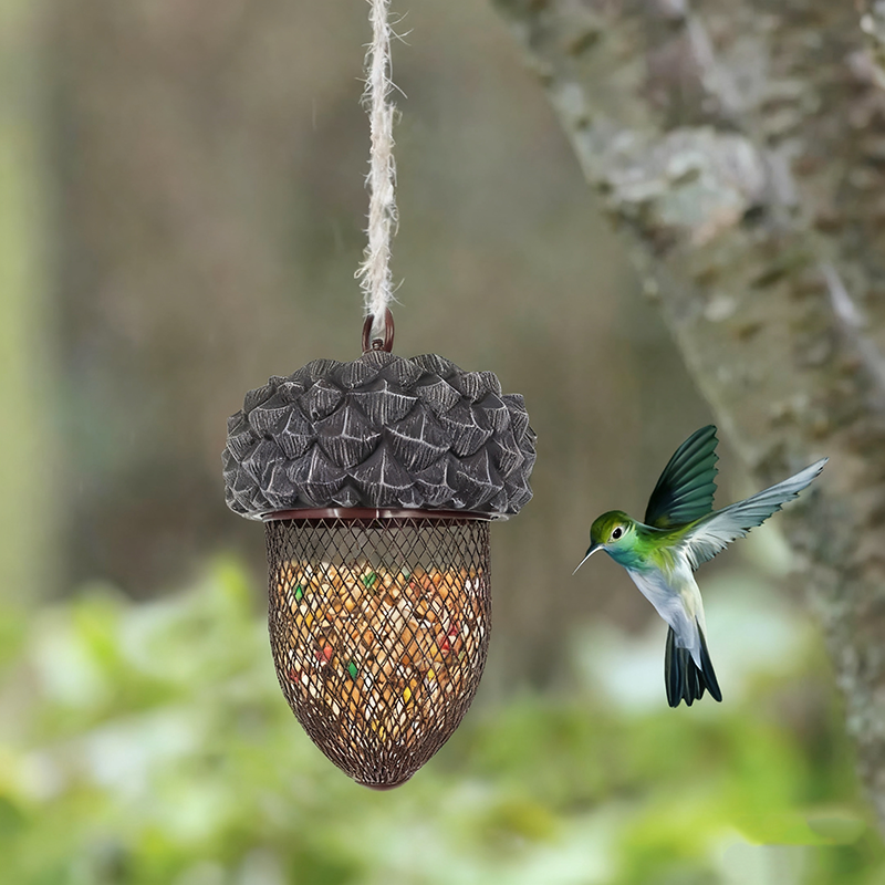 Skanto | Hummingbird Eikenprosjekt Jernfugleforingsapparat