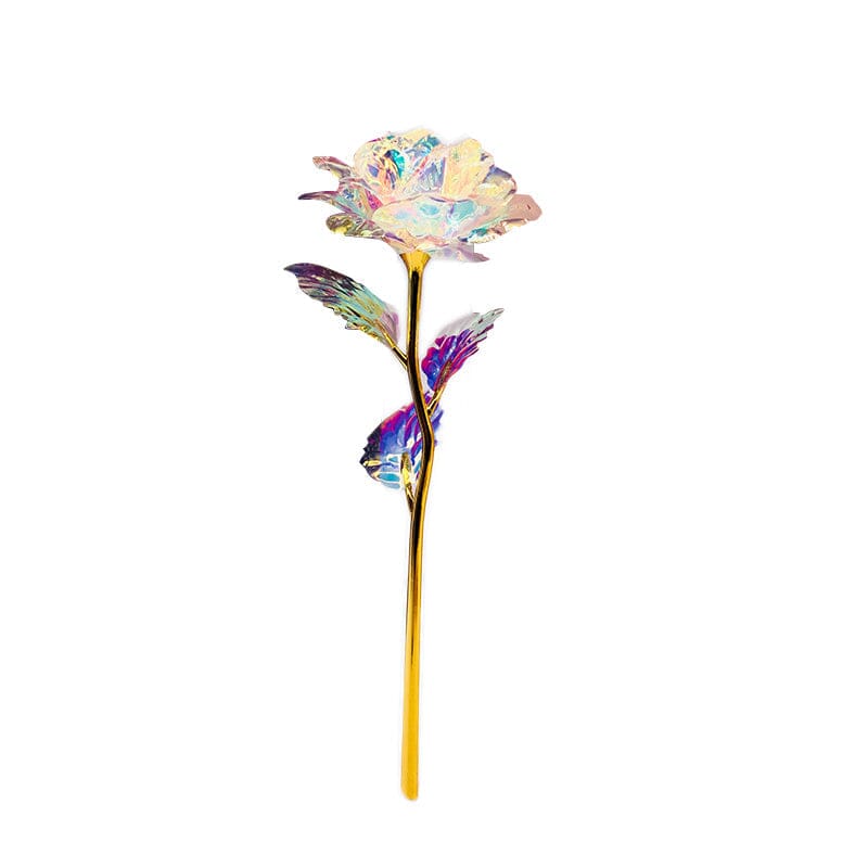 Fargerik galakse rose | Skanto