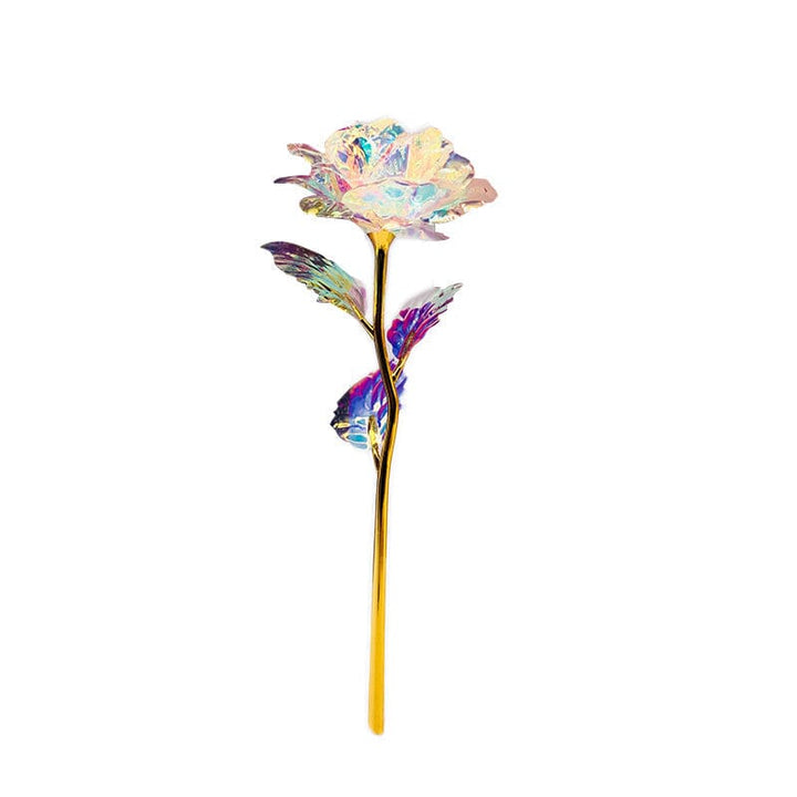 Fargerik galakse rose | Skanto