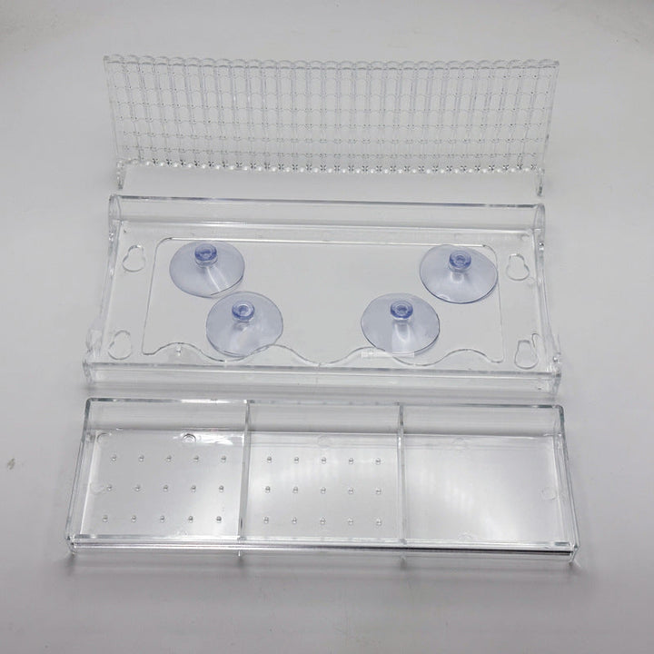 Skanto | Utendørs Clear-Window-Suction-Cup-Fuglekasse