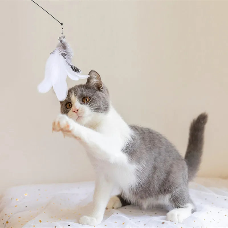 Fugleleke for katter Skanto