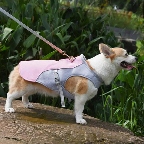 Hund Küling Vest for Utendørs Aktiviteter | Skanto
