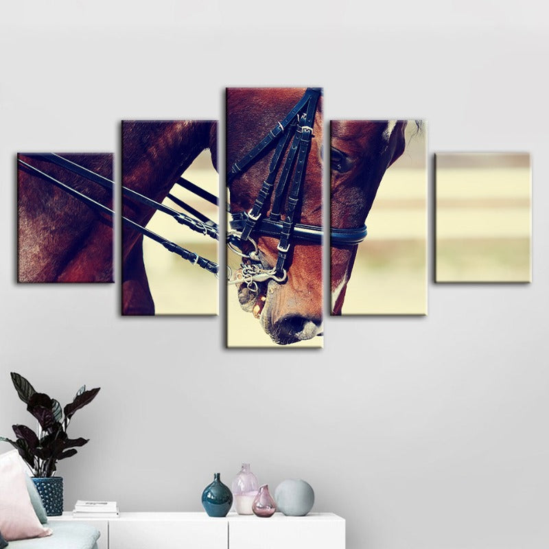 5 Piece Graceful Halter Horse - Canvas Wall Art Painting | Skanto