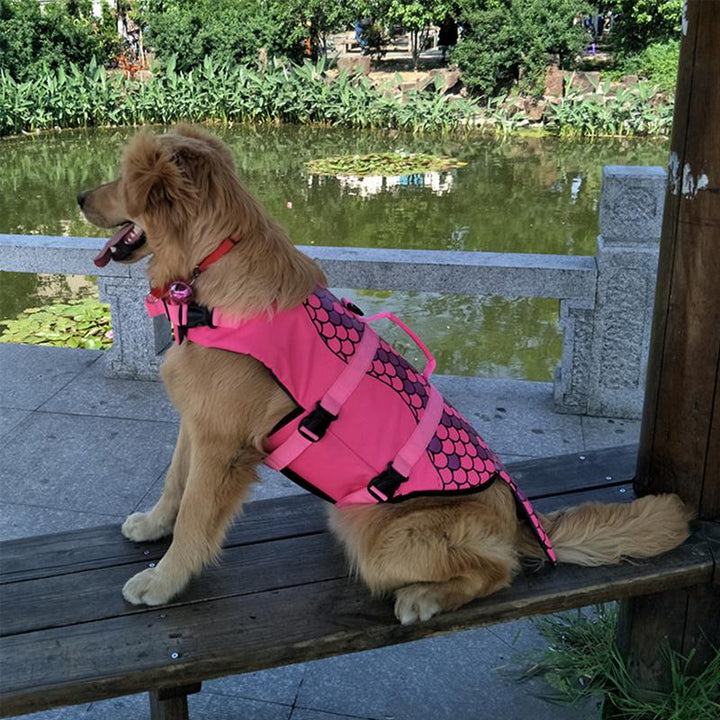 Skanto | Hund Svømmesikkerhetsjakke