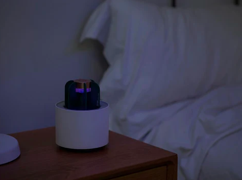 Skanto | Mygg Kaktus Lampe
