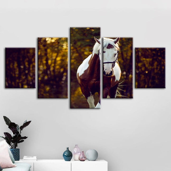 5-delt Courtly Overo hest - lerret veggkunst maleri | Skanto