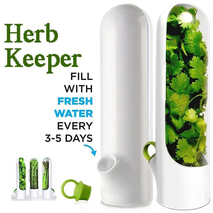 Skanto | Herb Fresh Holder