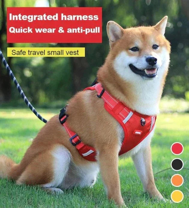 DogGrip Gå trygt med hunden din | Skanto