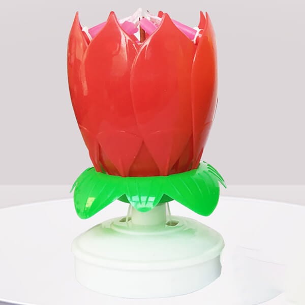Skanto | 🎂Magical Flowers Birthday Candle