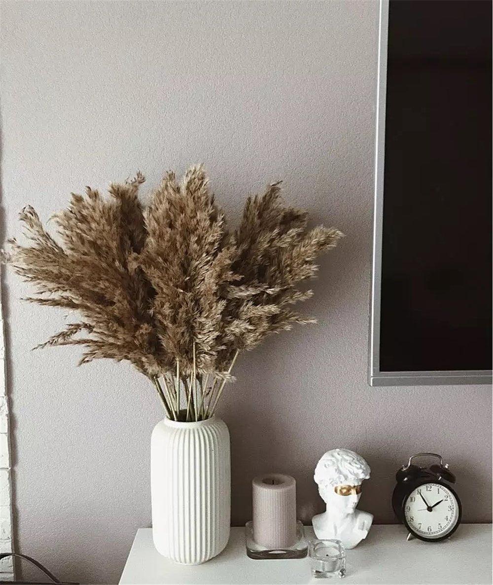 Skanto | 60 cm naturlig, ekte, brunt-beige tørket pampasgress bukett │ fluffy fjær for moderne boho hjemmeinnredning